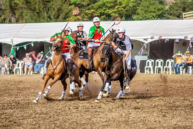 安东尼将在
