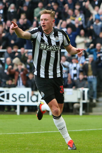 速发展的新 速发展的新