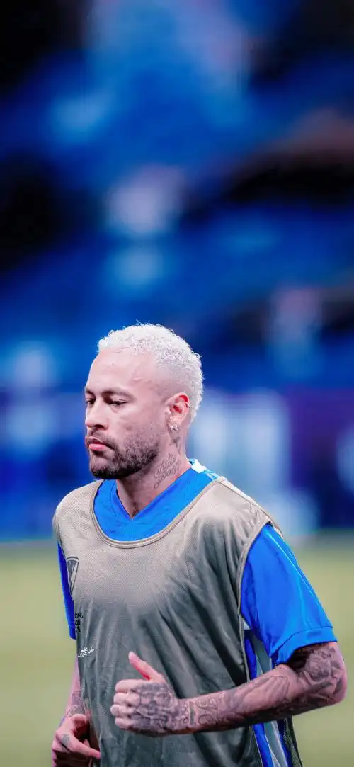 以其优雅的 以其优雅的